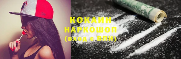 молекула духа Гусев