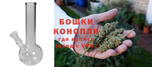 хмурый Горняк