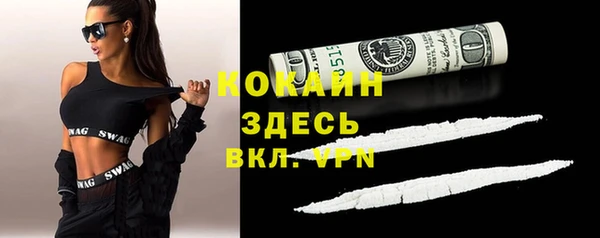 спайс Гусь-Хрустальный