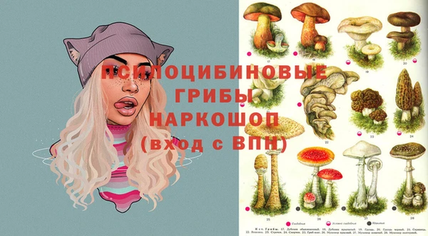 mdma Горнозаводск