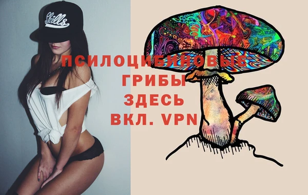 спайс Гусь-Хрустальный